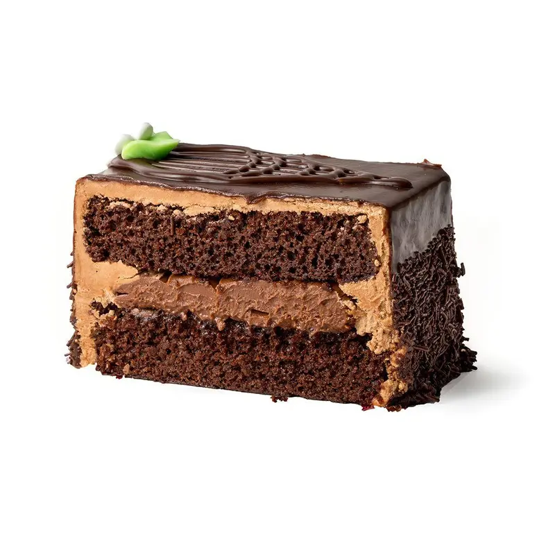 Chocolate Fudge Blackout Cake Slice
