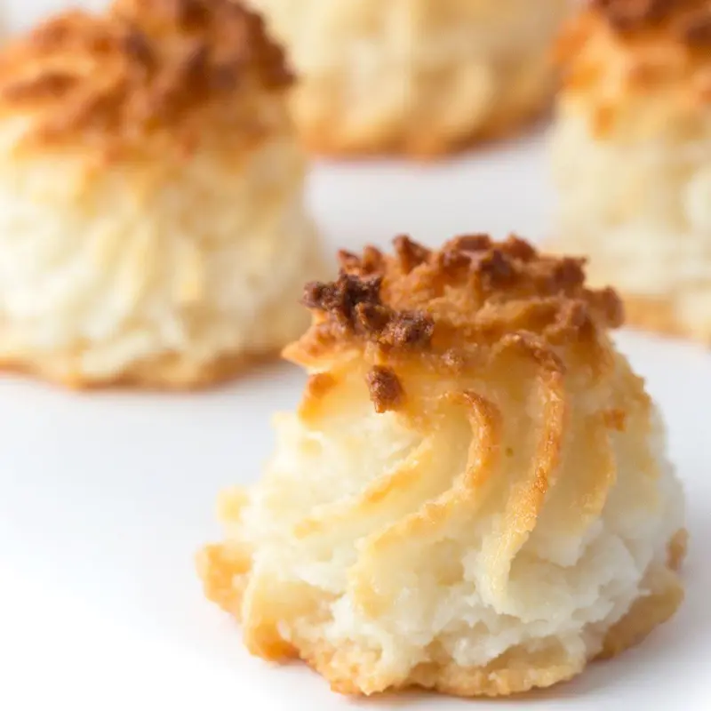 Coconut Macaroon (Nationwide Shipping)