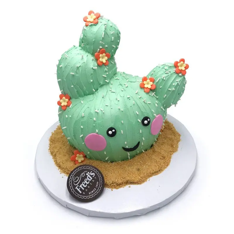 Cutie Cactus