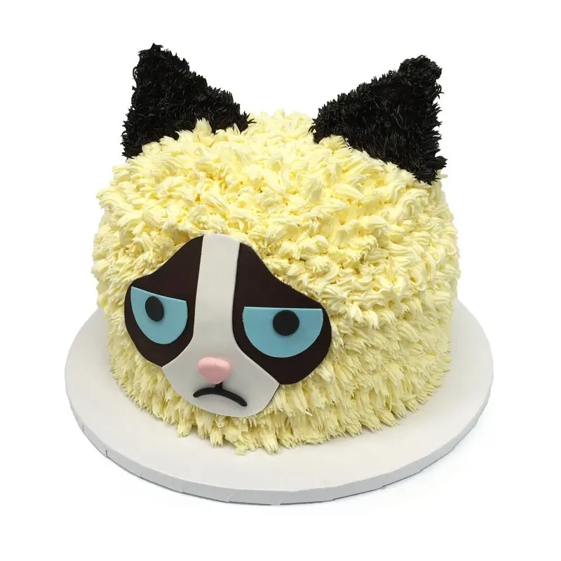 Grumpy Cat Birthday Cake