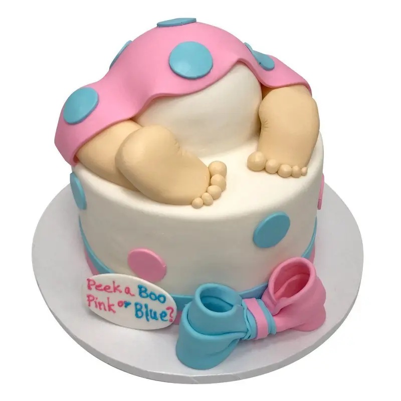 Pink or Blue Baby Bottom