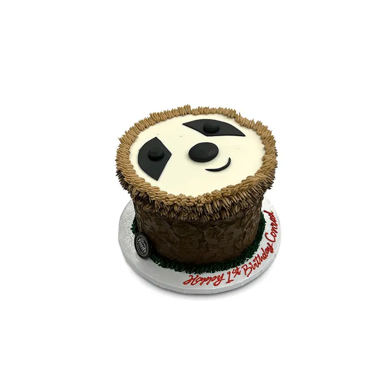 Cute Sloth Birthday Cake