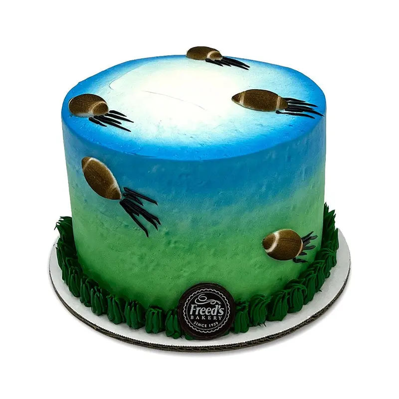 Flying Football Cake