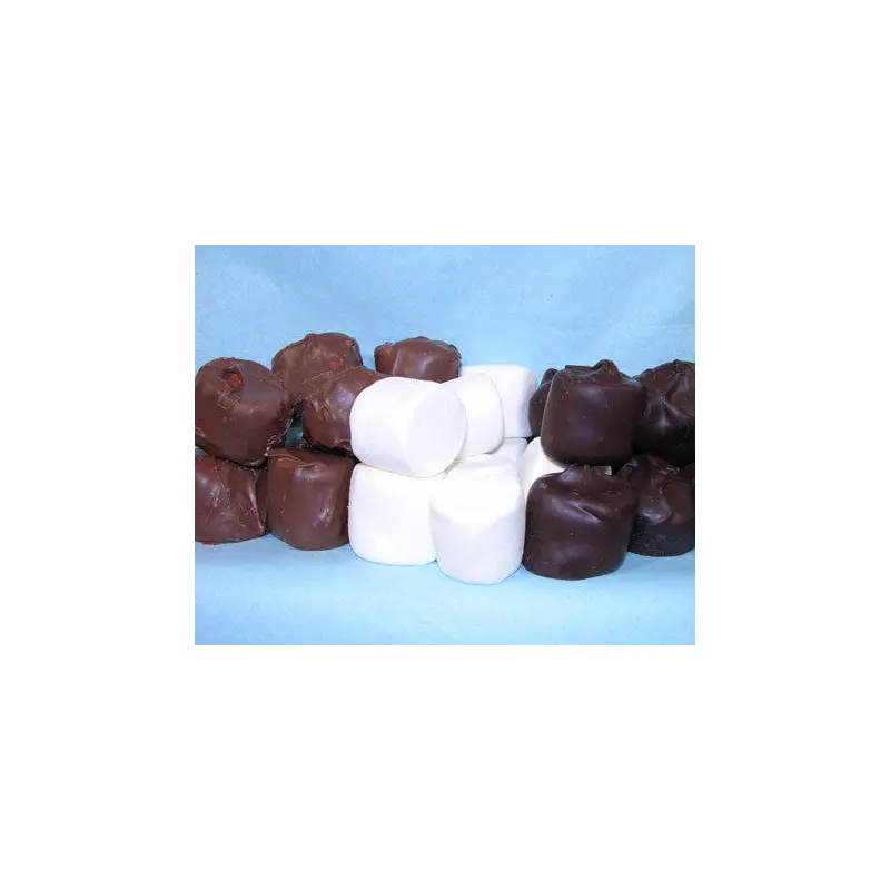 Chocolate Covered Marshmallows