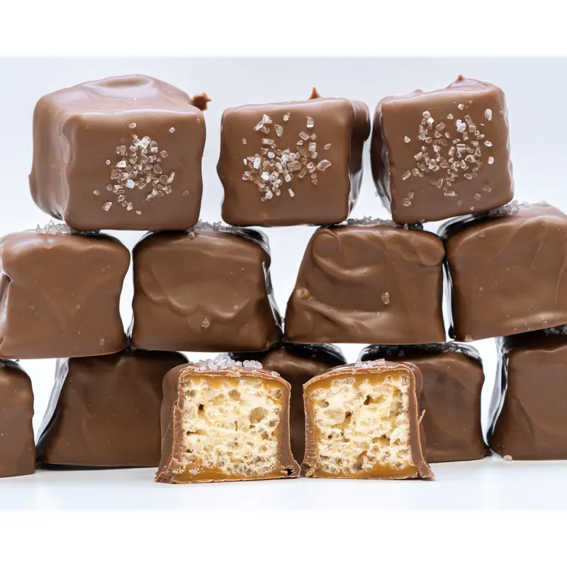 Sea Salt Caramel Rice Krispies Treats (Chocolate Covered)