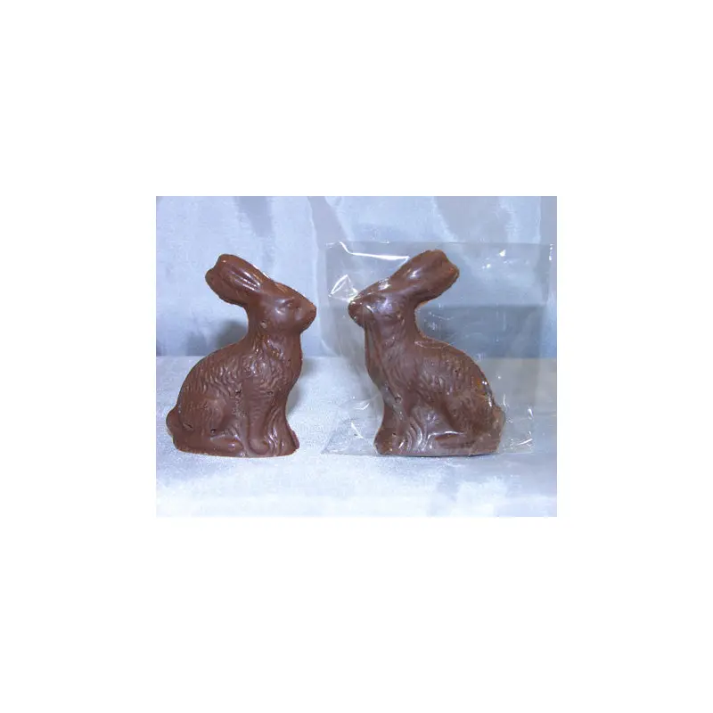 Smallest Sitting Rabbit