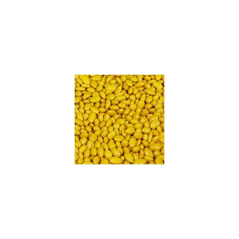 Yellow Sunflower Seeds Candy - 5lb Bulk