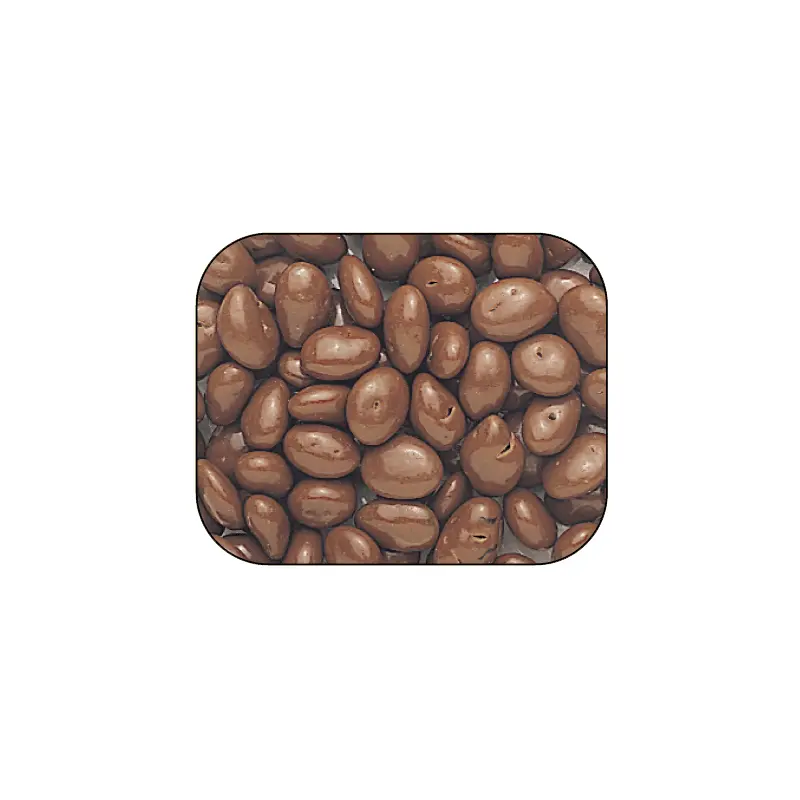 Chocolate-Covered Raisins - 5lb