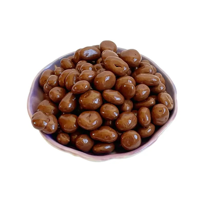 Chocolate Covered Raisins