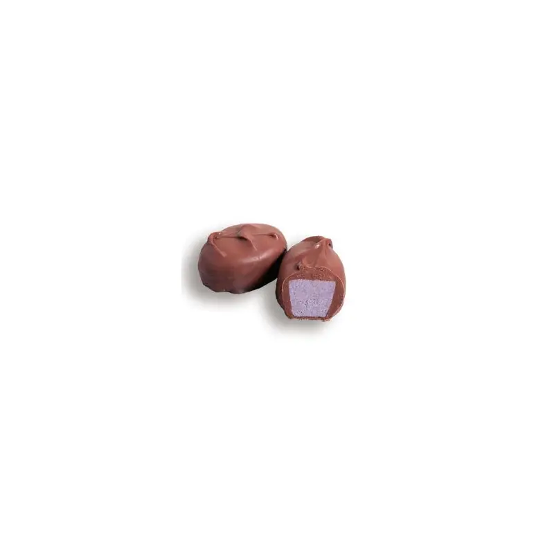 Raspberry Sherbet Cream Sugar Free Chocolates - 6 lb