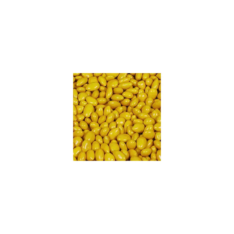 Chocolate Sunflower Seeds Candy - Yellow 5lb