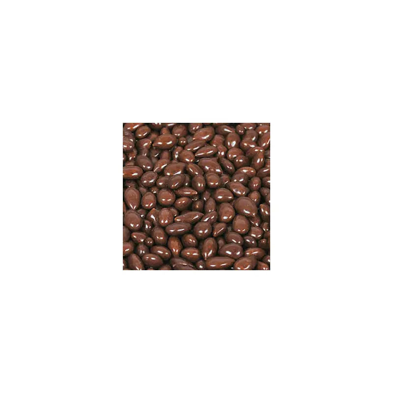 Chocolate Sunflower Seeds Candy - Dark Brown 5lb