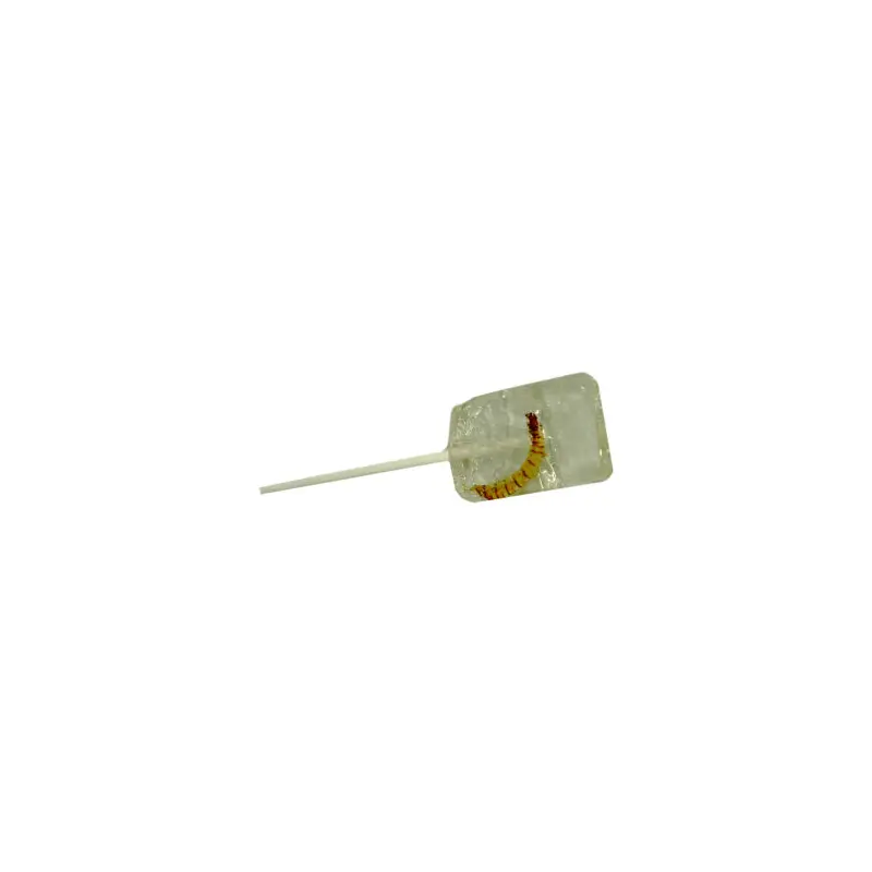 Tequila Pops With Worm - Hotlix 36ct