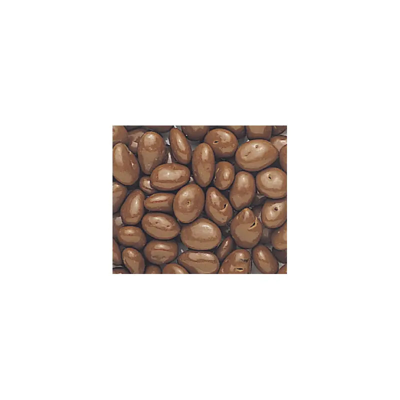 Chocolate Covered Raisins - 5lb