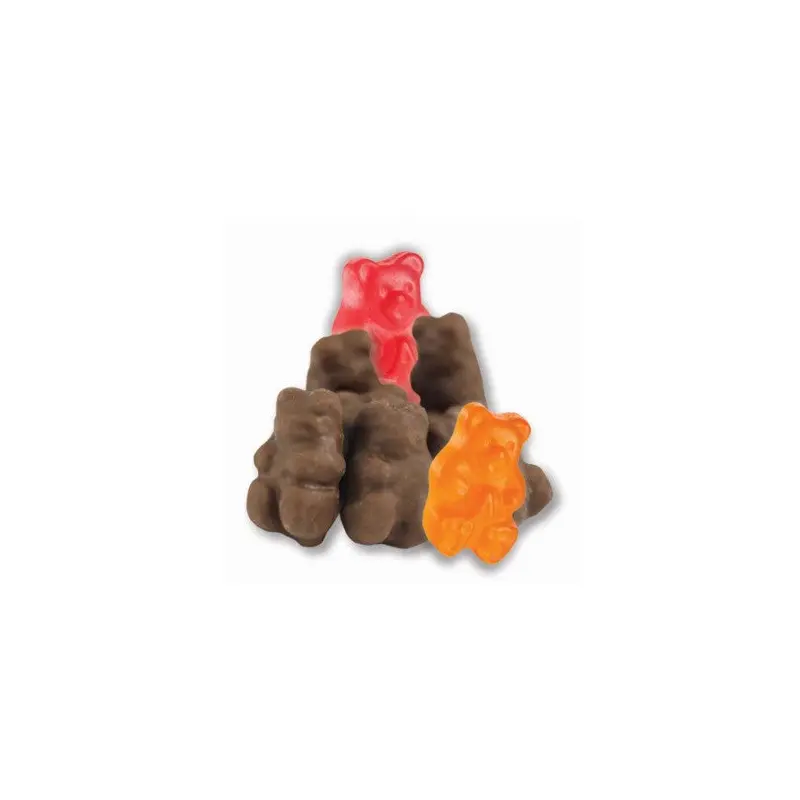Chocolate Covered Gummi Bears - 2.5lb