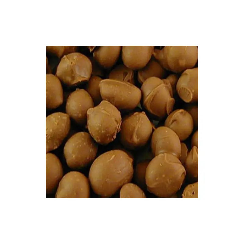 Chocolate Double Dipped Peanuts