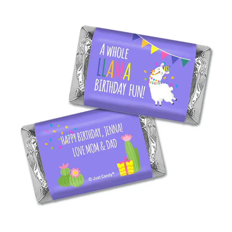 Personalized Llama Fun Kids Birthday Hershey's Miniatures