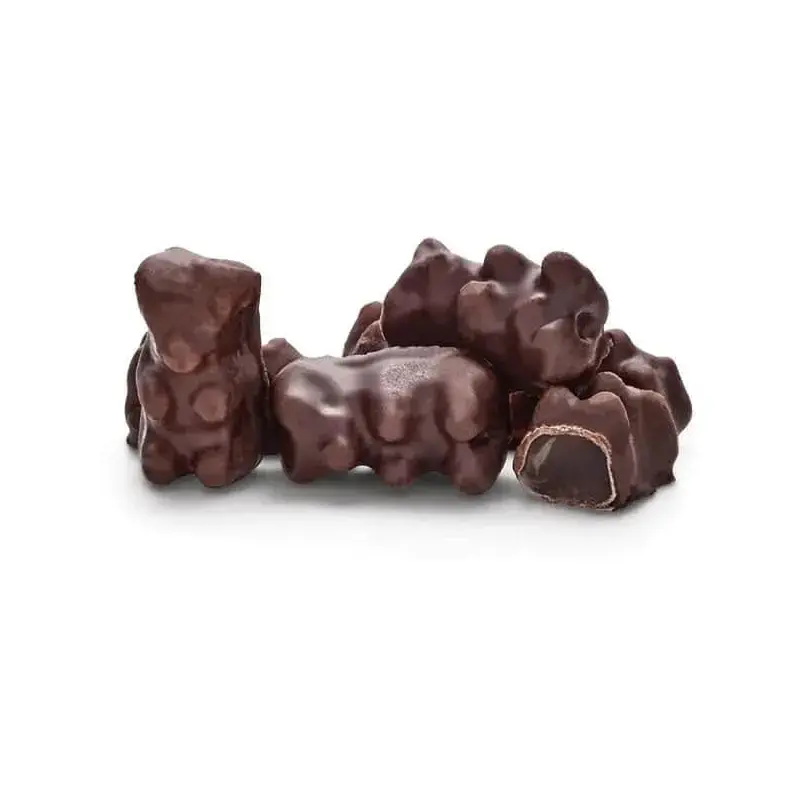 Koppers Dark Chocolate Covered Gummi Bears: 8LB Case