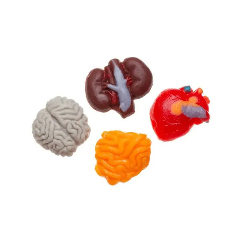 Gummy Internal Organs Candy: 38-Piece Bag