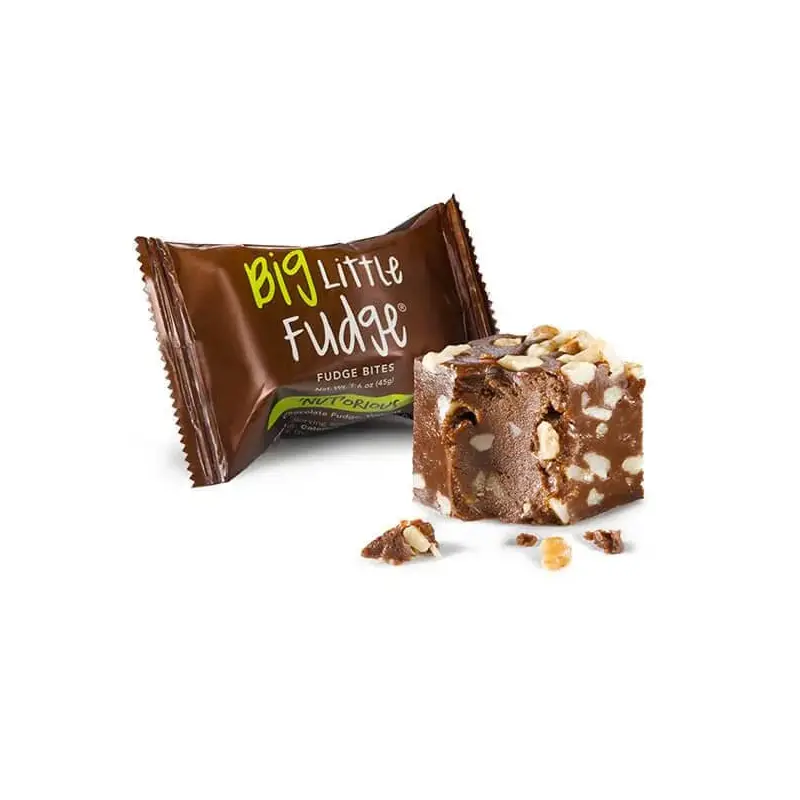 Fudge Bites - Chocolate with Walnuts: 12-Piece Display