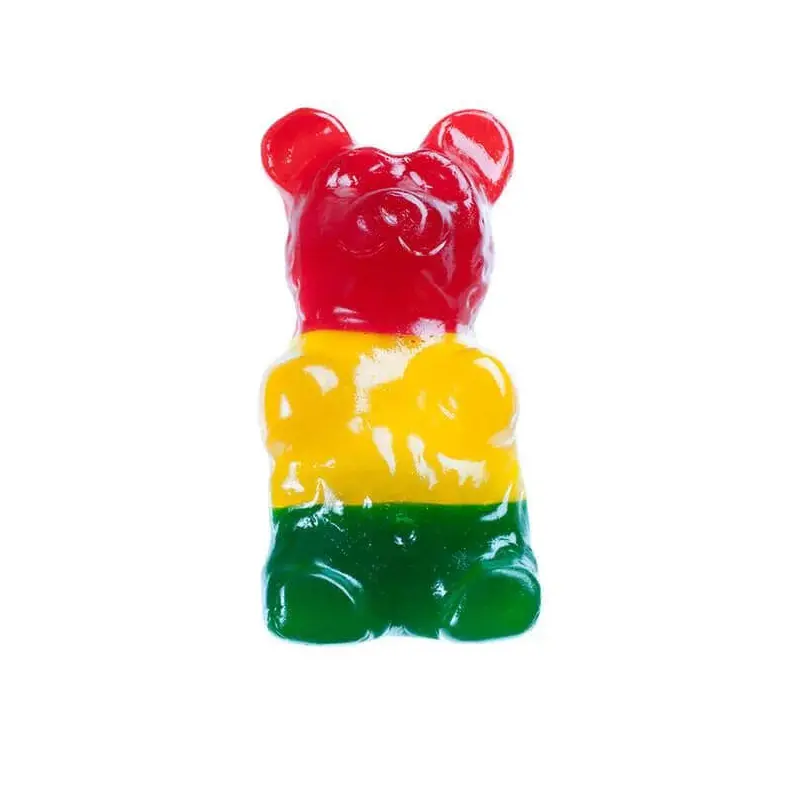 Astro World's Largest Gummy Bear Gift Box