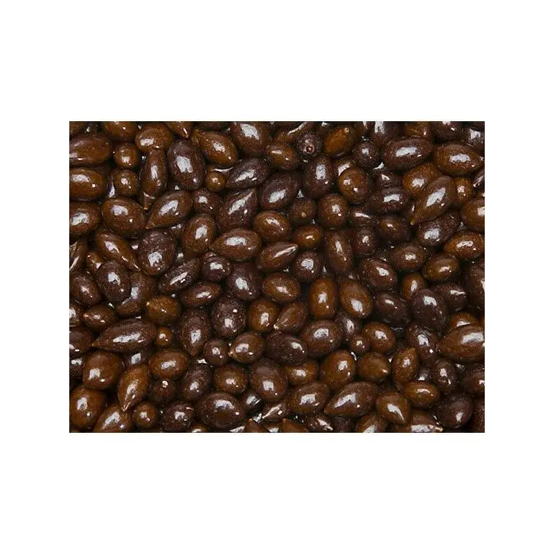 Sunbursts Chocolate Sunflower Seeds - Brown: 1LB Bag