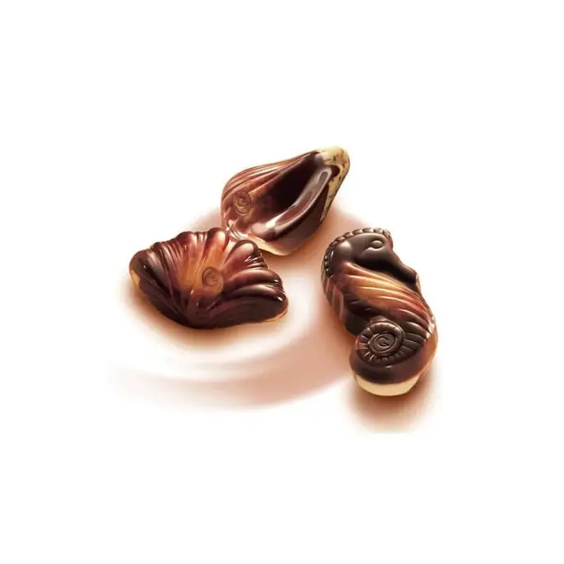 Guylian Chocolate Sea Shells: 6-Piece Gift Box